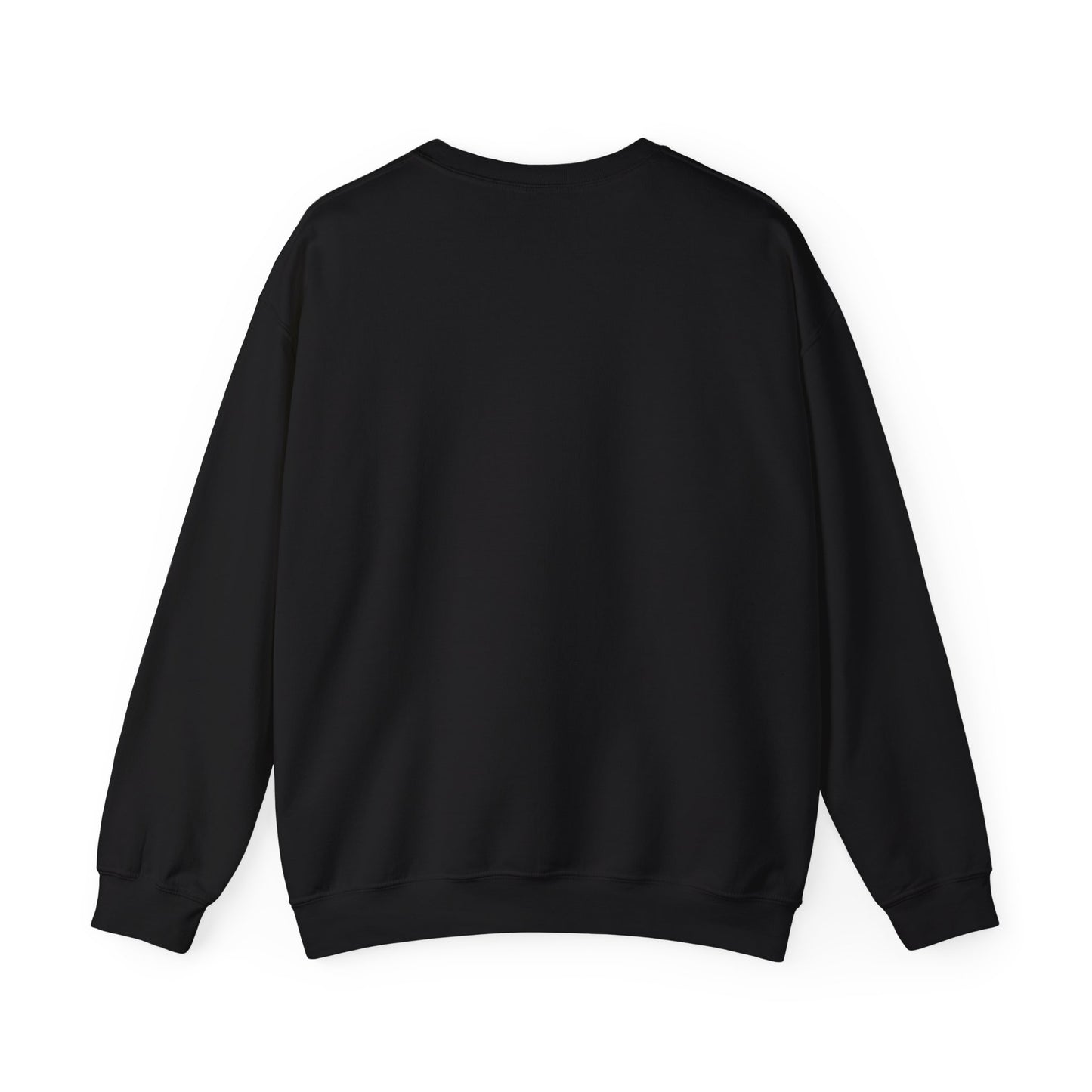 Crewneck Sweatshirt - Great Sweater at a Reasonable Price