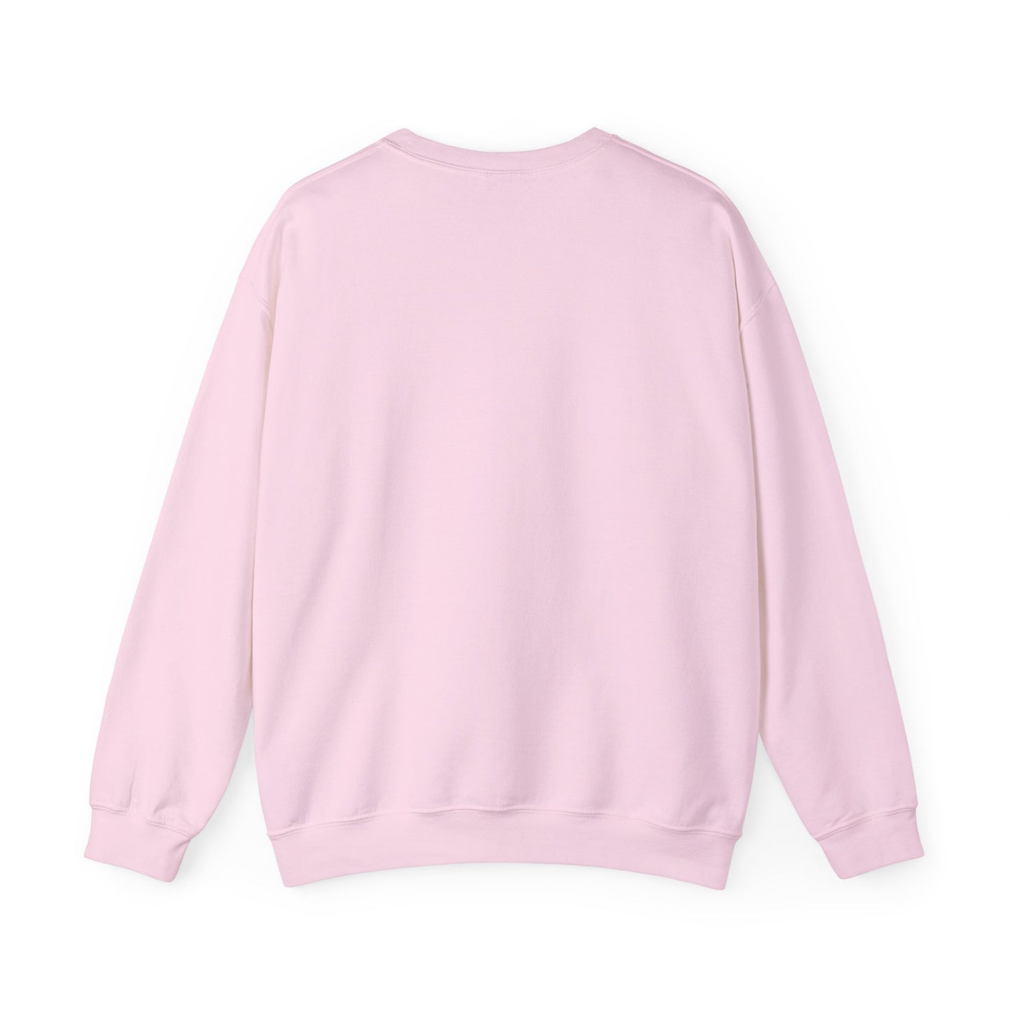 Crewneck Sweatshirt - Great Sweater at a Reasonable Price